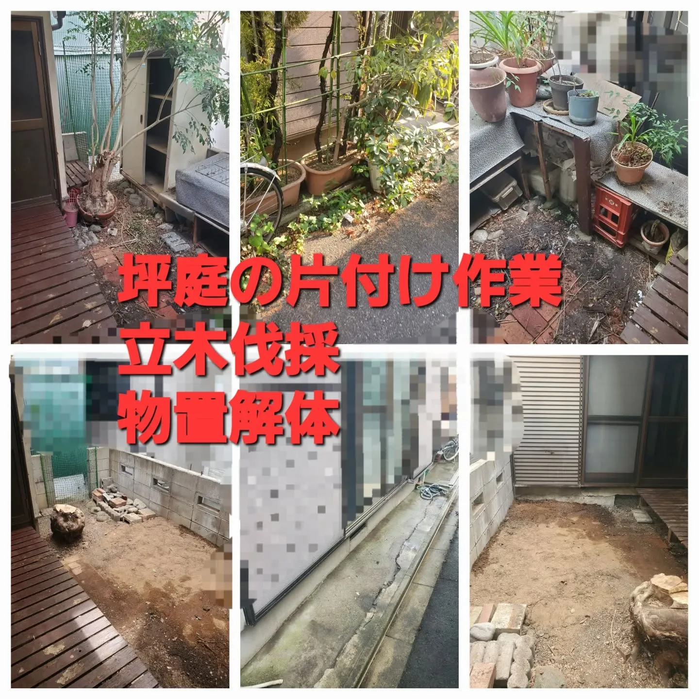 🏡東大阪市にて、『 庭の片付け & 立木の伐採 & 物置解体...
