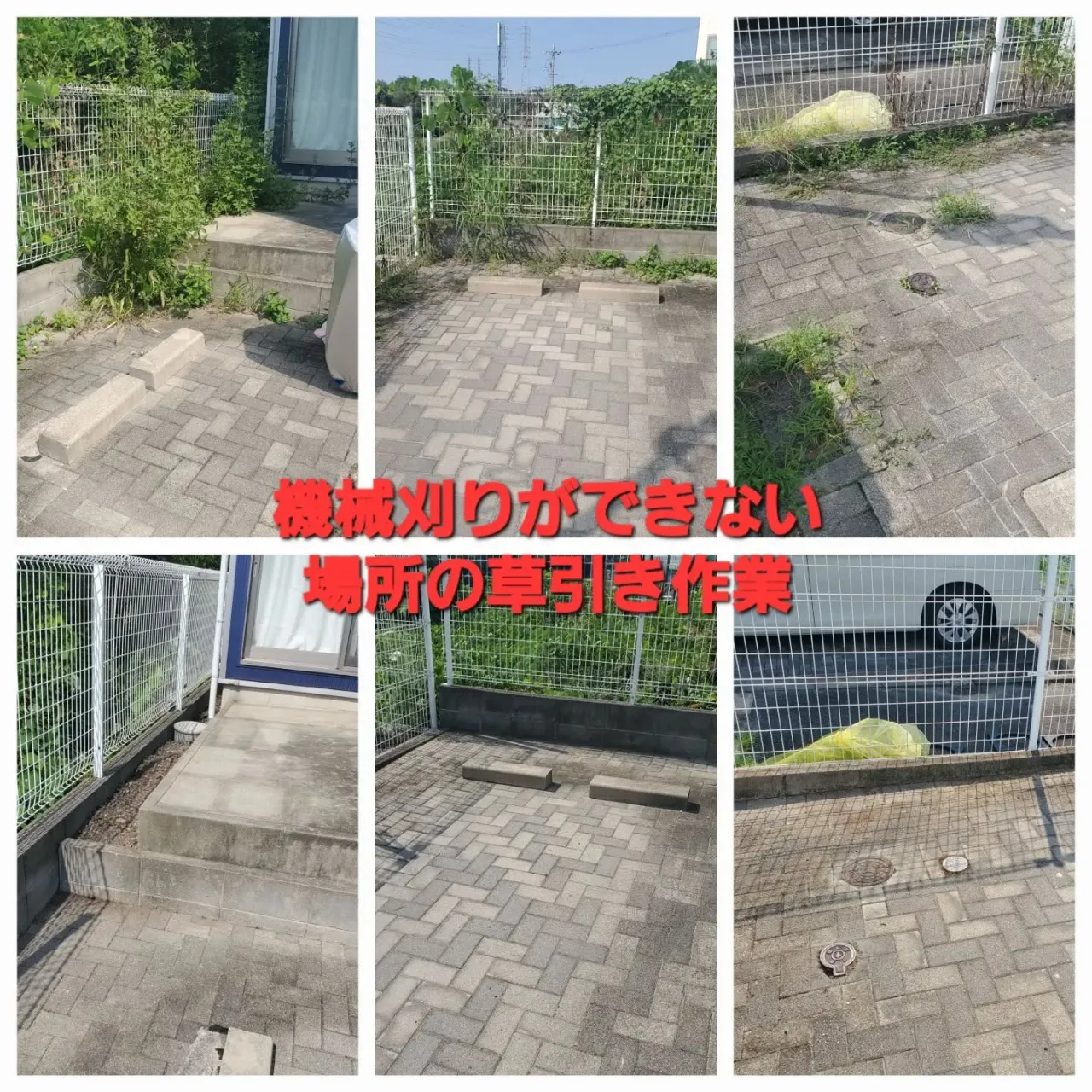 🌿 機械が使えない場所の草引きもお任せください！